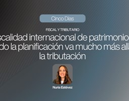 International wealth taxation